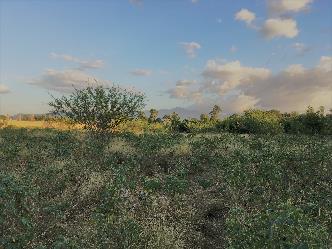 terrain_leogane